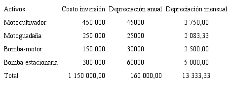 Inversi&oacute;n para la producci&oacute;n de apio org&aacute;nico, en colones.