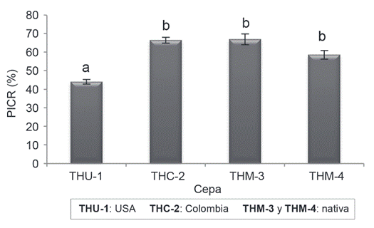 Porcentaje de inhibici&oacute;n del crecimiento radial (PICR), correspondiente a cultivos duales de los diferentes aislamientos de especies de Trichoderma de productos comerciales importados y nativos frente al pat&oacute;geno Fusarium oxysporum, al octavo d&iacute;a de evaluaci&oacute;n. Letras diferentes indican diferencias significativas para Tukey p˂0,05. Las barras verticales representan el error est&aacute;ndar. THU-01 y THM-04: T. guizhouense; THC-02: T. asperellum y THM-03: T. asperelloides.