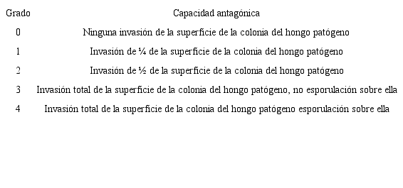 Escala para evaluar del grado de micoparasitismo seg&uacute;n Ezziyyani et al. (2004).