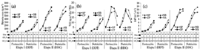 Efecto de la protecci&oacute;n (CP: con protecci&oacute;n y SP: sin protecci&oacute;n) y la nutrici&oacute;n (NA: nutrici&oacute;n alta y NB: nutrici&oacute;n baja) sobre la (a) producci&oacute;n de materia seca (MS), (b) la tasa de crecimiento (TCC) y (c) el &iacute;ndice de &aacute;rea foliar (IAF), durante la etapa I en &eacute;poca seca y etapa II en &eacute;poca lluviosa de un ciclo de cultivo de culantro coyote hidrop&oacute;nico, seg&uacute;n tiempo cronol&oacute;gico (d&iacute;as) y tiempo t&eacute;rmico en grados cent&iacute;grados d&iacute;a (&deg;C.d-1) por periodo de 10 d&iacute;as (GD_P) y acumulado (GD_P). Alajuela, Costa Rica. 2016.