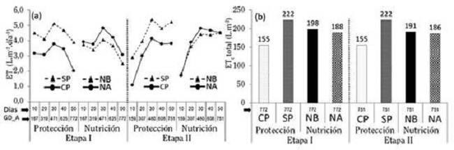 Evapotranspiraci&oacute;n del cultivo (ETc) (a) promedio diario (L.m-2.d&iacute;a-1) y (b) total (L.m-2) en etapa I en &eacute;poca seca y etapa II en &eacute;poca lluviosa, en un ciclo de cultivo de culantro coyote hidrop&oacute;nico bajo protecci&oacute;n (CP), sin protecci&oacute;n (SP), con nutrici&oacute;n baja (NB) y nutrici&oacute;n alta (NA). Alajuela, Costa Rica. 2016.