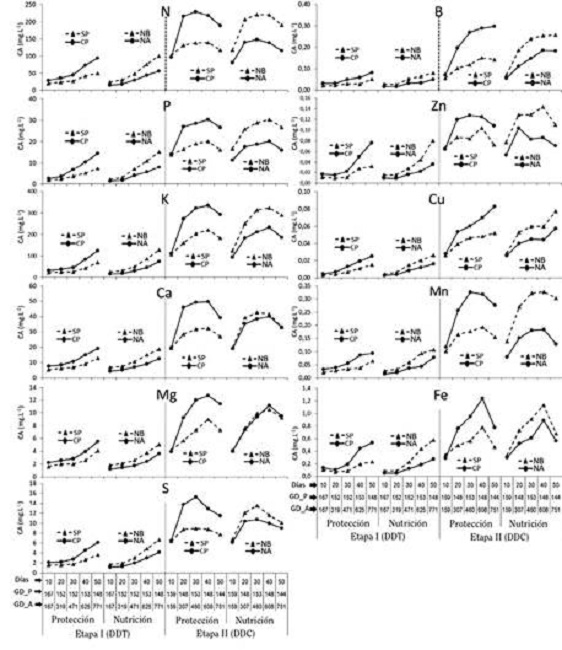 Efecto de la protecci&oacute;n (CP= con protecci&oacute;n y SP= sin protecci&oacute;n) y la nutrici&oacute;n (NA= nutrici&oacute;n alta y NB= nutrici&oacute;n baja) sobre la concentraci&oacute;n de absorci&oacute;n (CA) de nutrientes, durante la etapa I en &eacute;poca seca y etapa II en &eacute;poca lluviosa de un ciclo de cultivo de culantro coyote hidrop&oacute;nico, seg&uacute;n tiempo cronol&oacute;gico (d&iacute;as) y grados cent&iacute;grados d&iacute;a (&deg;C.d-1) por periodo de 10 d&iacute;as (GD_P) y acumulados (GD_P). Alajuela, Costa Rica. 2016.