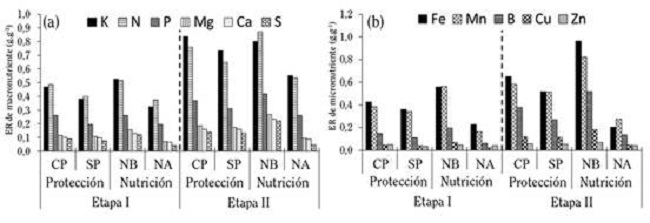 Eficiencia de recuperaci&oacute;n de nutrientes (ER; durante la etapa I en &eacute;poca seca y etapa II en &eacute;poca lluviosa de un ciclo de cultivo de culantro coyote hidrop&oacute;nico bajo protecci&oacute;n (CP), sin protecci&oacute;n (SP), con nutrici&oacute;n baja (NB) y nutrici&oacute;n alta (NA). Alajuela, Costa Rica. 2016.