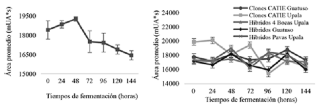 Comportamiento de teobromina (mUA*s) en grano de los grupos genéticos del CATIE (izquierda) y cacaos comerciales (derecha) durante la fermentación en función del tiempo.