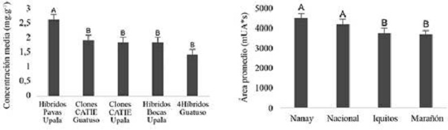 Contenido promedio de cafeína (mg.g-1) en grano durante fermentación de cacaos comerciales (izquierda) y promedio de epicatequina (mUA*s) en grano durante fermentación de los grupos genéticos del CATIE (derecha). Medias con letra común no son diferentes estadísticamente (p>0,05).