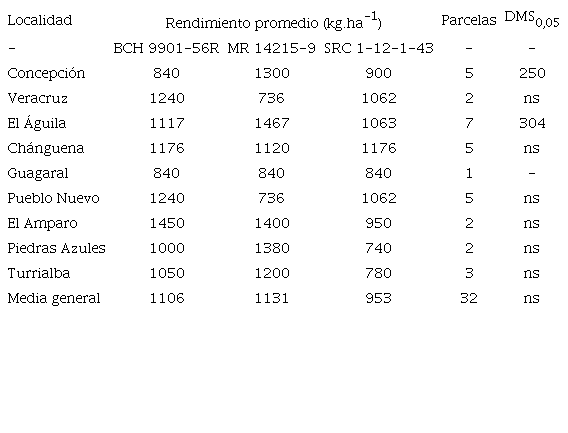 Rendimiento promedio de la variedad de frijol común Tayní (BCH 9901-56R) en parcelas de validación en fincas de productores y bajo manejo comercial.
