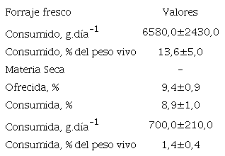 Consumo promedio (± desviación estándar) de materia fresca y seca, y concentración de materia seca del forraje de botón de oro ofrecido a 16 cabras estabuladas.