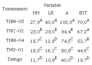 Medias y separaci&oacute;n de medias para los tratamientos de Trichoderma spp. evaluados en condiciones de invernadero. 