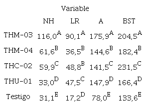 Medias y separaci&oacute;n de medias para los tratamientos de Trichoderma spp. evaluados en condiciones de campo. 