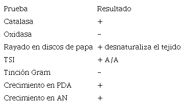 Caracterizaci&oacute;n bioqu&iacute;mica de los aislamientos SFC2, SFC4 y SFC7, obtenidos del s&iacute;ntoma de la Pudrici&oacute;n Suave del Fruto (PSF).