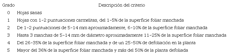 Escala utilizada para el &iacute;ndice de infestaci&oacute;n de la mancha de hierro.