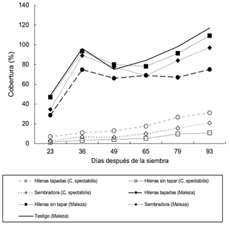 Porcentaje de cobertura de C. spectabilis y de malezas totales a través del tiempo en cada uno de los métodos de siembra, así como el testigo sin control de malezas. Orosi, Costa Rica. 2017.