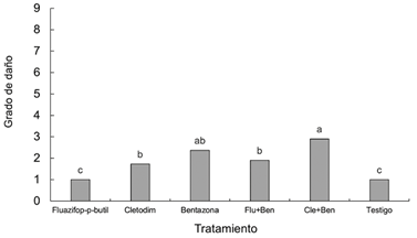 Grado de daño en plantas de C. spectabilis causado por la aplicación de herbicidas. Flu+Ben = Fluazifop-p-butil + Bentazona; Cle+Ben = Cletodim + Bentazona. Promedios con igual letra presentan diferencias no significativas entre si según prueba de Tukey al 5%.