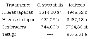 Área bajo la curva del porcentaje de cobertura de C. spectabilis y de las malezas, en los 3 tipos de siembra y en el testigo sin cultivo de cobertura.