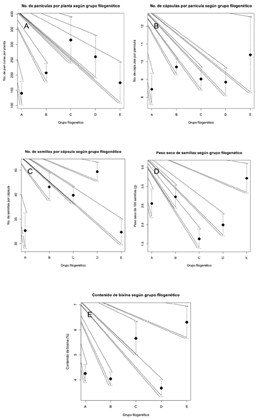 Relaci&oacute;n entre grupos filogen&eacute;ticos y las variables: A. N&uacute;mero de pan&iacute;culas por planta. B. N&uacute;mero de c&aacute;psulas por pan&iacute;cula. C. N&uacute;mero de semillas por c&aacute;psula. D. Peso seco de 100 semillas (g) E. Contenido de bixina.