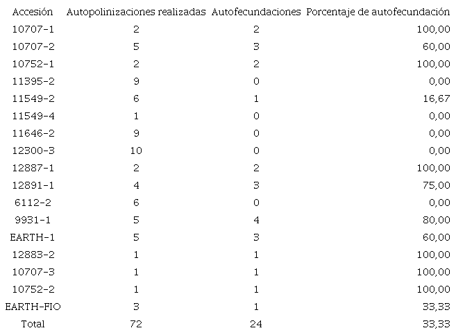 Resultados de las autopolinizaciones realizadas y fecundaci&oacute;n obtenida en las accesiones del Banco de Germoplasma de Achiote de la Universidad EARTH.