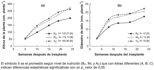 Efecto del nivel de nutrición con baja (BC), media (MC) y alta (AC) concentración de nutrientes en solución nutritiva, sobre la evolución semanal de (a) la longitud (LT) y (b) el diámetro del tallo (DT) de plantas de chile dulce hidropónico bajo invernadero. 
