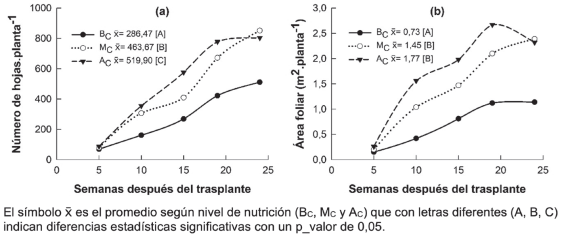Evolución semanal de los pesos secos de (a) hojas, (b) tallos y (c) flor-fruto verde aún no cosechable de plantas de chile dulce hidropónico bajo invernadero, con baja (BC), media (MC) y alta (AC) concentración de nutrientes en solución nutritiva. 