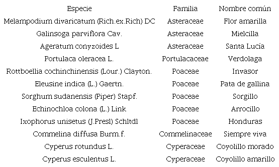Especies presentes en el lote 27 donde se realiz&oacute; el experimento con herbicidas preemergentes en camote.