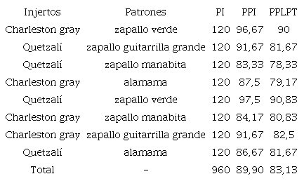 N&uacute;mero de plantas injertadas, porcentaje de plantas injertadas y porcentaje de plantas aptas para el transplante.