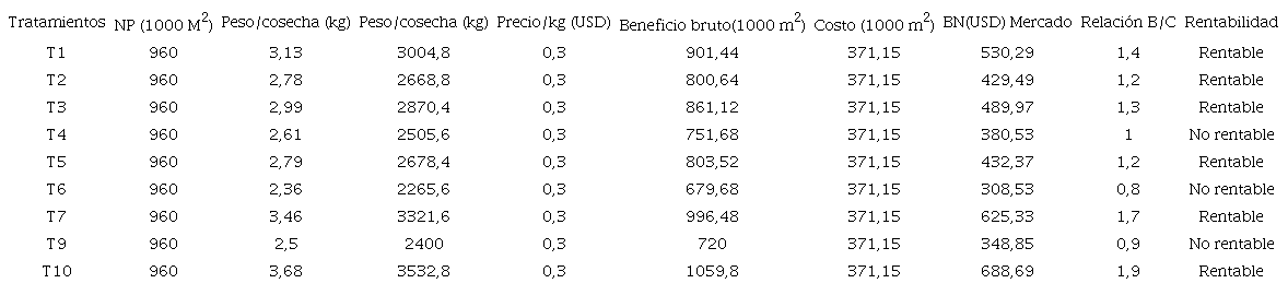 An&aacute;lisis del B/C para los injertos de sand&iacute;a en un &aacute;rea de 1000 m2, cuyo producto fue comercializado en mercado de abasto de jipijapa.