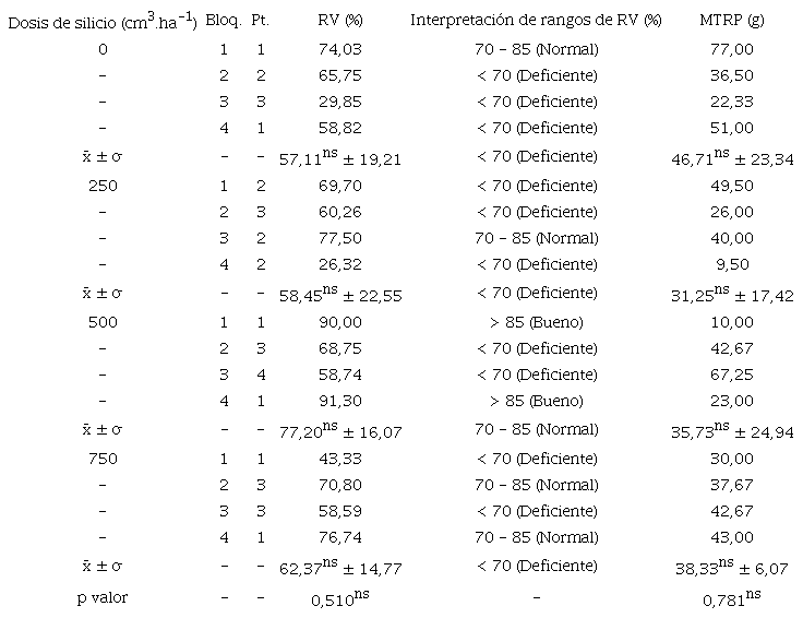 Porcentaje de raíces vivas y masa total de raíces promedio en función de la aplicación de distintas dosis de silicio en plantas de banano ‘Williams Cavendish’.