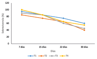 Porcentaje de segmentos de Cordia trichotoma sobrevivientes por cada tratamiento durante los d&iacute;as de evaluaci&oacute;n.