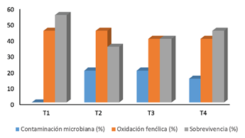 Contaminaci&oacute;n microbiana, oxidaci&oacute;n fen&oacute;lica y sobrevivencia de explantes de Cordia trichotoma por tratamiento.