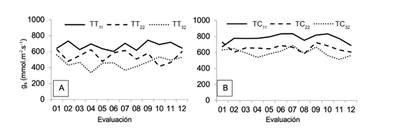 Valores promedio de conductancia estom&aacute;tica (mmol.m-2.s-1) en hoja, en tratamientos de 3 porcentajes de agotamiento h&iacute;drico de 11, 22 y 32% del contenido de humedad volum&eacute;trica del sustrato, en plantas de (A) tomate (TT11, TT22, TT32) y (B) de chile dulce (TC11, TC22, TC32 ).