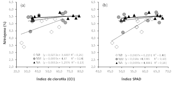 Regresi&oacute;n entre el contenido de nitr&oacute;geno (%) en hoja y los &iacute;ndices (a) de clorofila (CCI) y (b) de desarrollo de an&aacute;lisis de plantas y suelo (SPAD) en el cultivo de chile dulce hidrop&oacute;nico bajo invernadero, con tratamientos de baja (&loz; NB), media (● NM) y alta (▲ NA) concentraci&oacute;n de nutrientes en soluci&oacute;n nutritiva. Alajuela, Costa Rica, 2019.