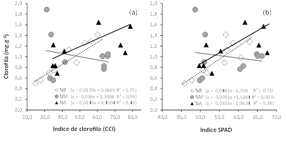 Regresi&oacute;n entre el contenido de clorofila en hoja y los &iacute;ndices (a) de clorofila (CCI) y (b) de desarrollo de an&aacute;lisis de plantas y suelo (SPAD) en el cultivo de chile dulce hidrop&oacute;nico bajo invernadero con tratamientos de baja (&loz; NB), media (● NM) y alta (▲ NA) concentraci&oacute;n de nutrientes en soluci&oacute;n nutritiva. Alajuela, Costa Rica, 2019.