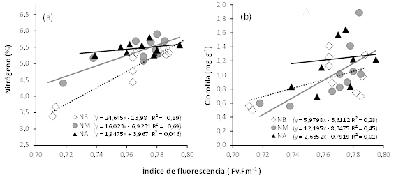 Regresi&oacute;n entre el &iacute;ndice de fluorescencias y los contenidos de nitr&oacute;geno (a) y de clorofila (b) en hoja de plantas de chile dulce chile hidrop&oacute;nico bajo invernadero con tratamientos de baja (&loz; NB), media (● NM) y alta (▲ NA) concentraci&oacute;n de nutrientes en soluci&oacute;n nutritiva. Alajuela, Costa Rica, 2019.