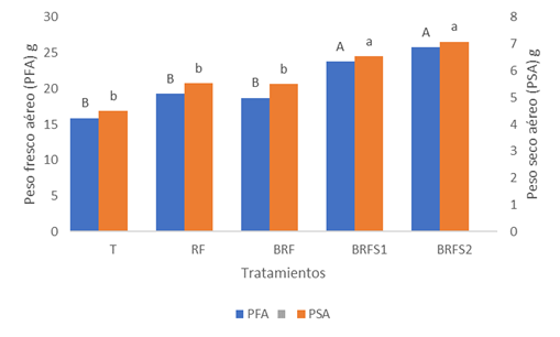 Peso fresco y seco a&eacute;reo encontrado en los diferentes tratamientos. Letras diferentes en las columnas seg&uacute;n el eje muestran diferencias estad&iacute;sticas entre medias, seg&uacute;n DGC al 5%.