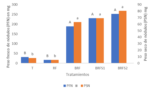 Peso fresco y seco de n&oacute;dulos en los diferentes tratamientos. 