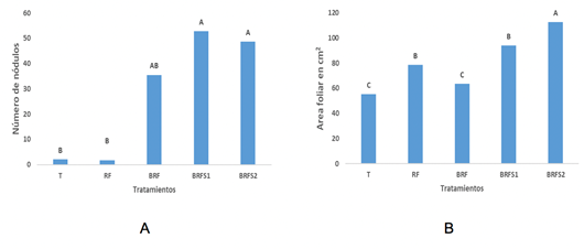 N&uacute;mero de n&oacute;dulos (A) y &aacute;rea foliar (B) de las plantas de soya en los diferentes tratamientos. 