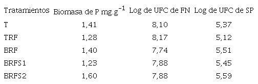 Resumen de los resultados obtenidos de biomasa microbiana de P y poblaciones de FN y solubilizadores de P.