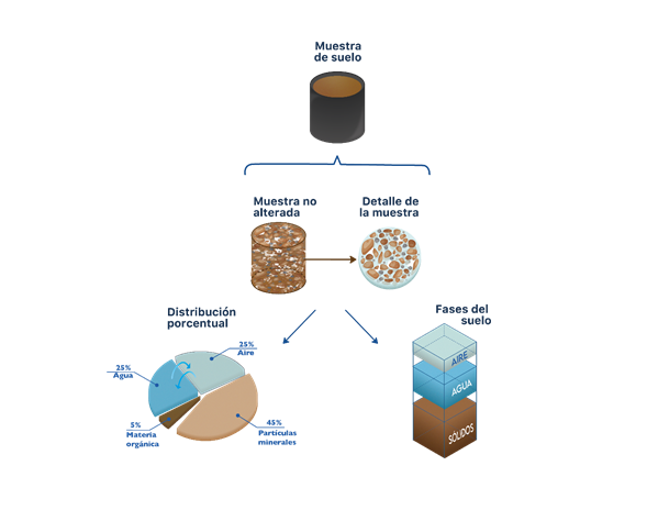 El suelo como un ente tridimensional, sus fases y porcentajes aproximados de los distintos componentes en un suelo ideal.