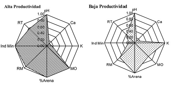 Representaci&oacute;n gr&aacute;fica de los &iacute;ndices obtenidos de productividad de banano en la finca Santa Cecilia Dival&aacute; provincia de Chiriqu&iacute; Panam&aacute; 2006