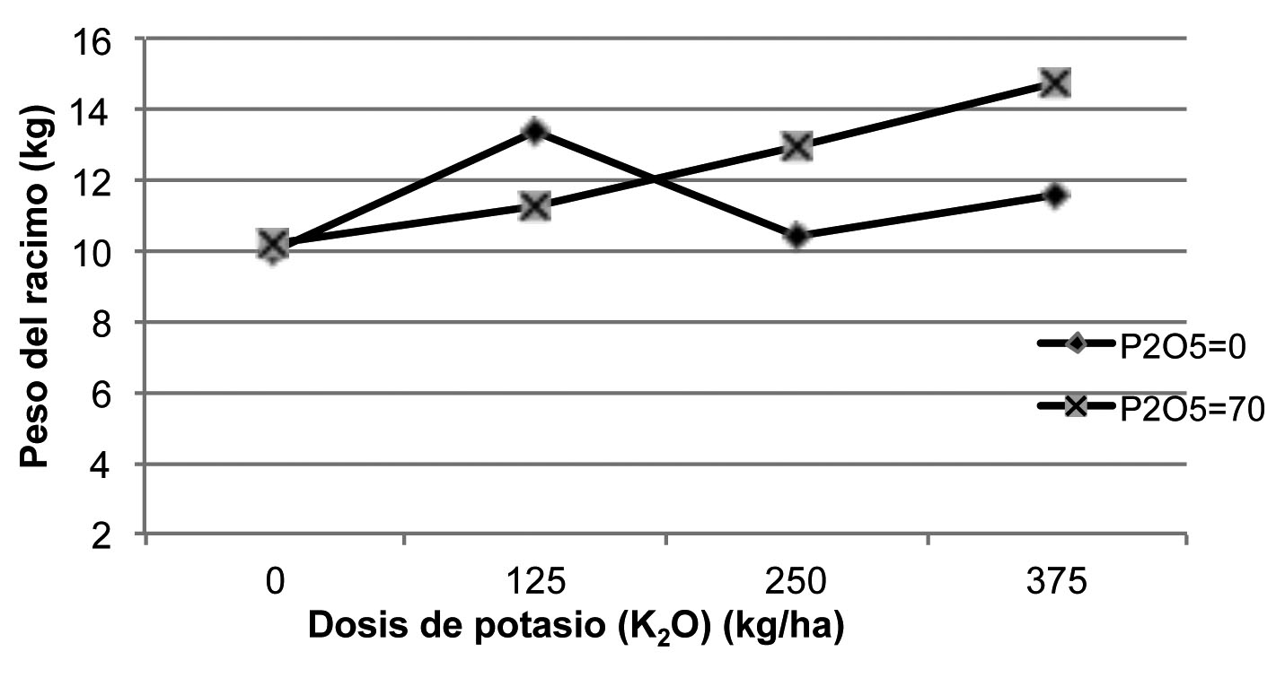 Representación de la interacción de fósforo-potasio en peso del racimo de plátano. Cosecha 2010. La Fortuna, San Carlos, Costa Rica. Octubre del 2010.