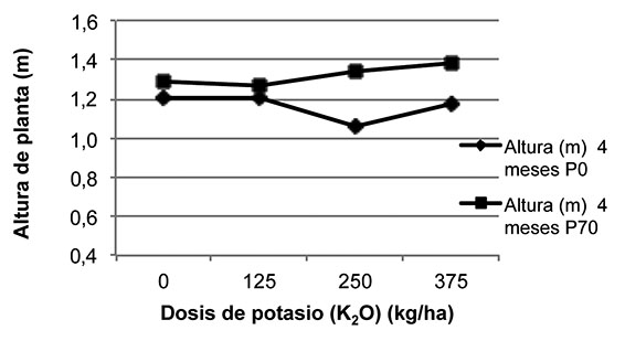 Representación de la interacción de fósforopotasio en altura del pseudotallo de plátano a los cuatro meses de edad Cosecha 2009 La Fortuna San Carlos Costa Rica Octubre del 2010