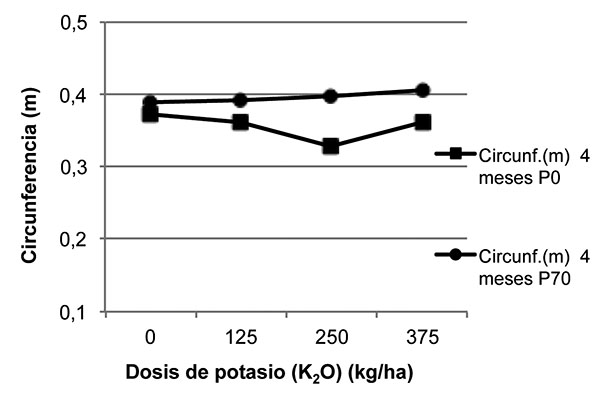 Representación de la interacción de fósforo-potasio en la circunferencia de la base del pseudotallo de planta de plátano a los cuatro meses de edad. Cosecha 2009, La Fortuna, San Carlos, Costa Rica. Octubre del 2010.