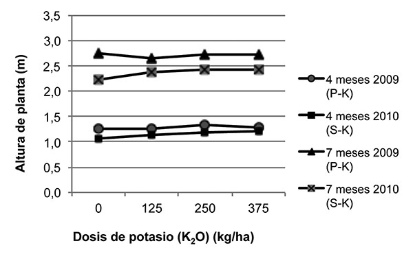 Comportamiento de la altura del pseudotallo de la planta de plátano a los cuatro y siete meses de edad Ensayos azufrepotasio y fósforopotasio La Fortuna San Carlos Costa Rica Octubre del 2010