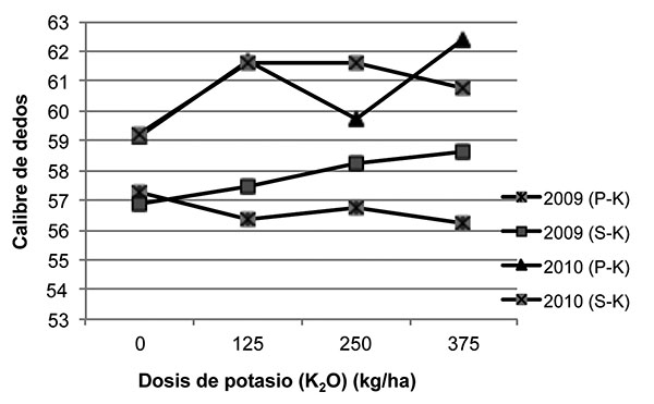 Comportamiento de calibre del dedo central de la segunda mano del racimo de plátano. Ensayos azufre-potasio y fósforo-potasio. La Fortuna, San Carlos, Costa Rica. Octubre del 2010.
