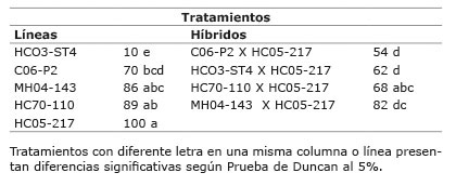 Incidencia de antracnosis % en fruta de l&iacute;neas de papaya y sus respectivos h&iacute;bridos con la l&iacute;nea HC05217 Gu&aacute;piles Lim&oacute;n Costa Rica 2011