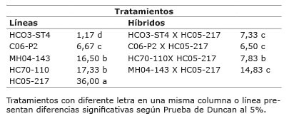 Severidad de antracnosis (%) en fruta de l&iacute;neas de papaya y sus respectivos h&iacute;bridos con la l&iacute;nea HC05-217 (n= 16 frutas). Gu&aacute;piles, Lim&oacute;n, Costa Rica. 2011.