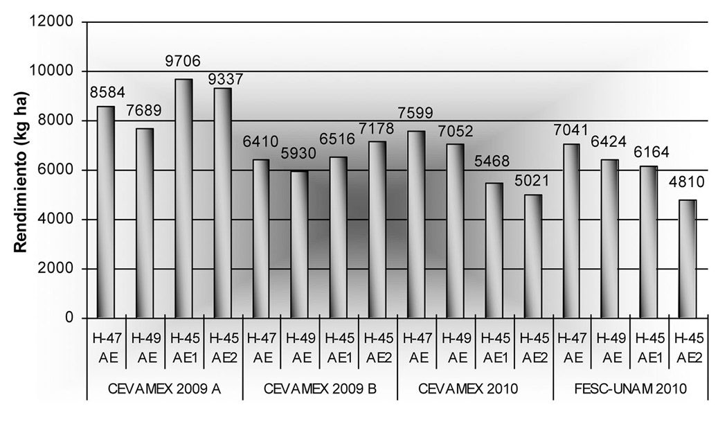 Rendimiento medio (kg/ha), de cuatro híbridos de maíz en cuatro ambientes de evaluación. Texcoco, México. 2009-2010.