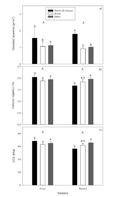 Densidad aparente (a), carbono org&aacute;nico (b)
y almacenamiento de carbono org&aacute;nico del suelo (c) a profundidad de 0 a 20 cm
en interfaces arroz-bosque ripario y pasto-bosque ripario en Piedras, Tolima,
Colombia. 2013. 

Las barras de error corresponden al error
est&aacute;ndar. Letras min&uacute;sculas y may&uacute;sculas diferentes indican diferencias
significativas (p<0,05) entre posiciones y sistemas, respectivamente.