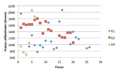 Distribución de las fincas analizadas en diferentes franjas altitudinales de la zona rural de Ibagué, Colombia. 2013. 
			G1: grupo 1; G2: grupo 2; G3: Grupo 3.