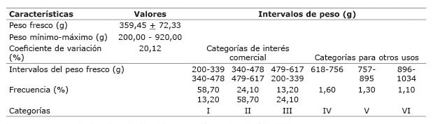 Peso fresco (g) de las raíces reservantes de batata en estado fresco. Laboratorio de Procesamiento Primario de Productos Agrícolas- Facultad de Agronomía-Universidad Central de Venezuela. 2014.