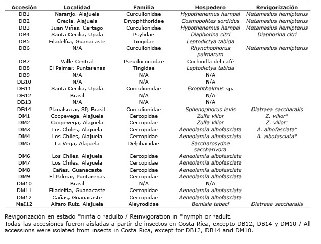 Código de aislamientos de Beauveria (códigos DB1a DB14), y de Metarhizium (códigos DM1 a DM12 y MaI12), origen geográfico y hospedero parasitado. Aislamientos proveídos por el Departamento de Investigación y Extensión de la Caña de Azúcar (DIECA) de la Liga Agrícola Industrial de la Caña de Azúcar (LAICA), Costa Rica. 2014-2015. 
